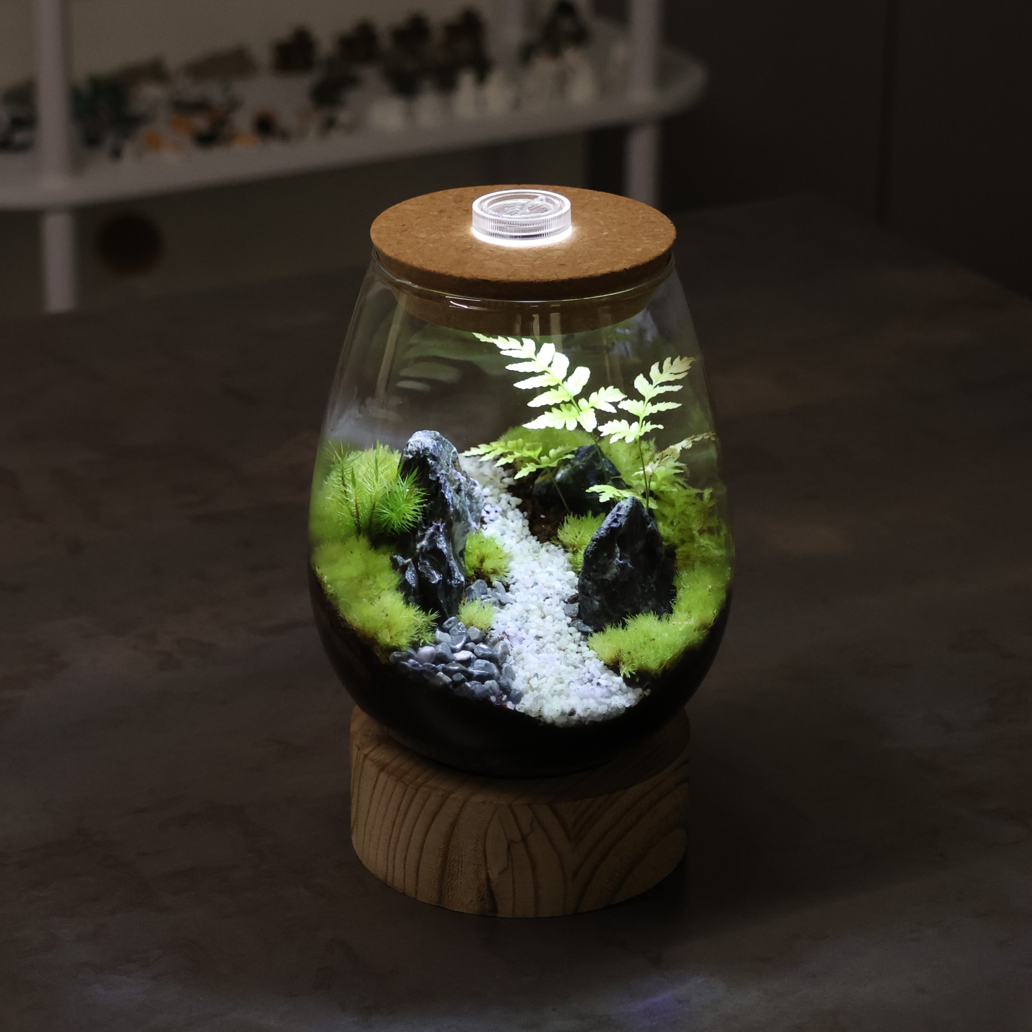[도매]HG01-B / 36개 / 9,000원