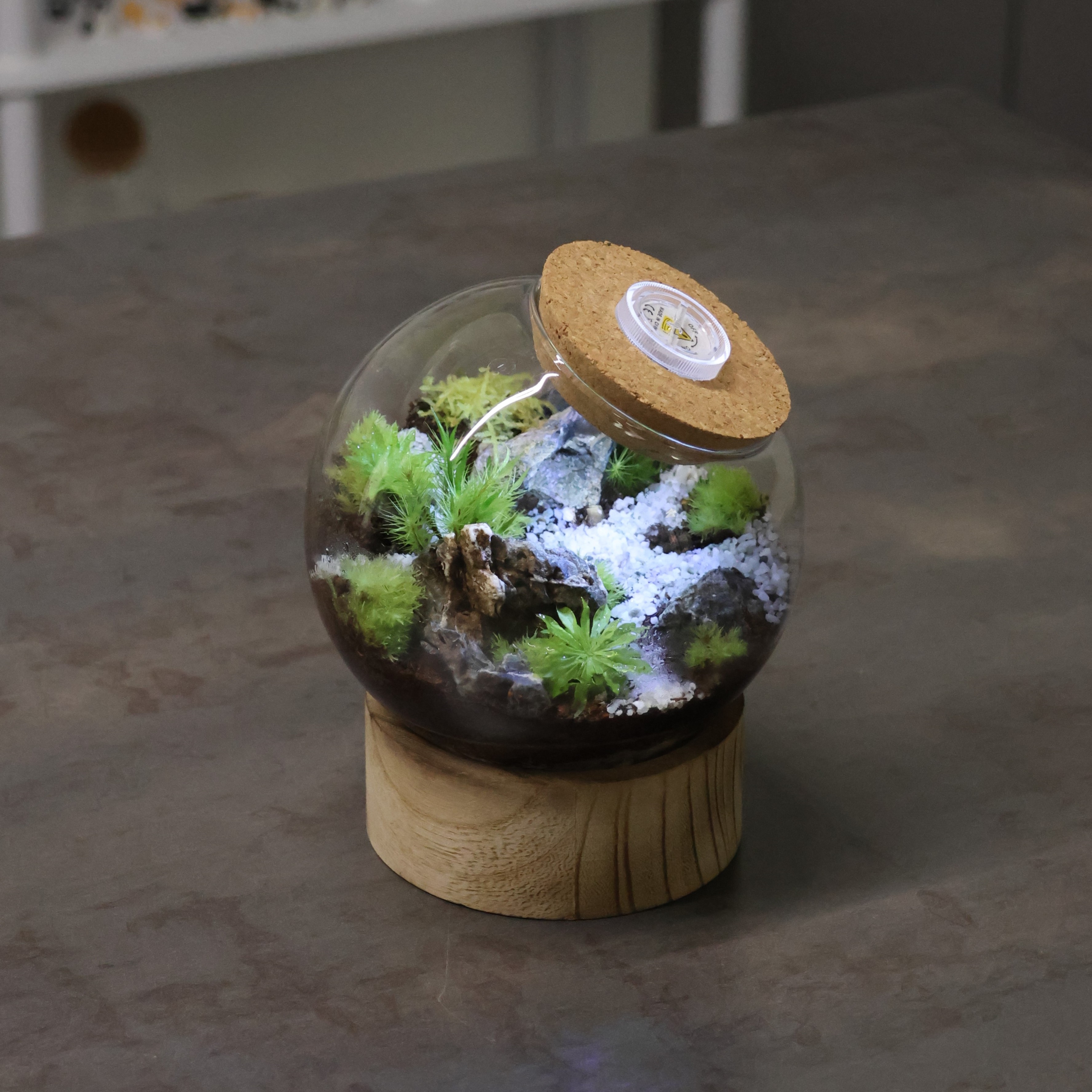 [도매]HG01-D / 36개 / 8,500원