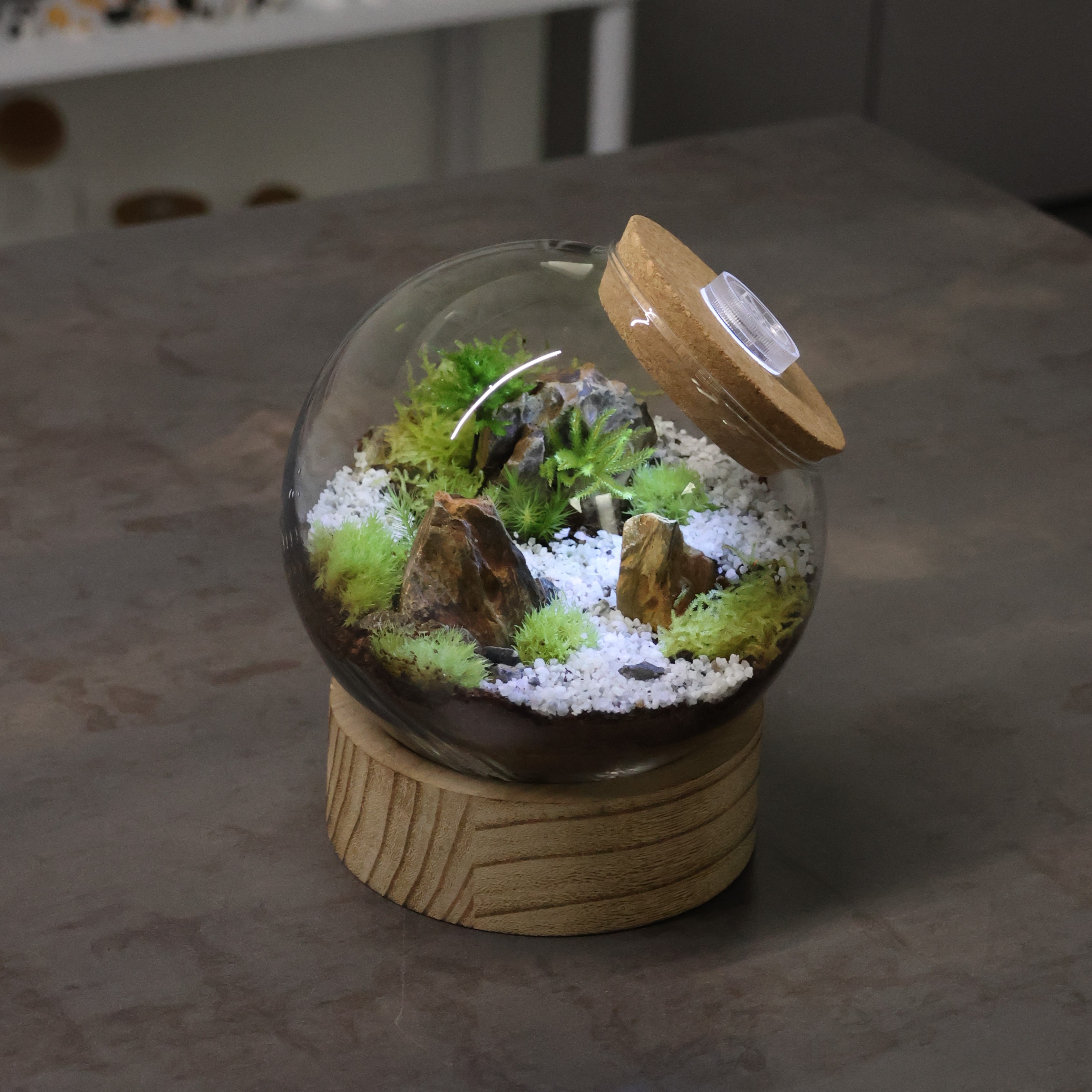 [도매]HG01-E / 24개 / 9,800원