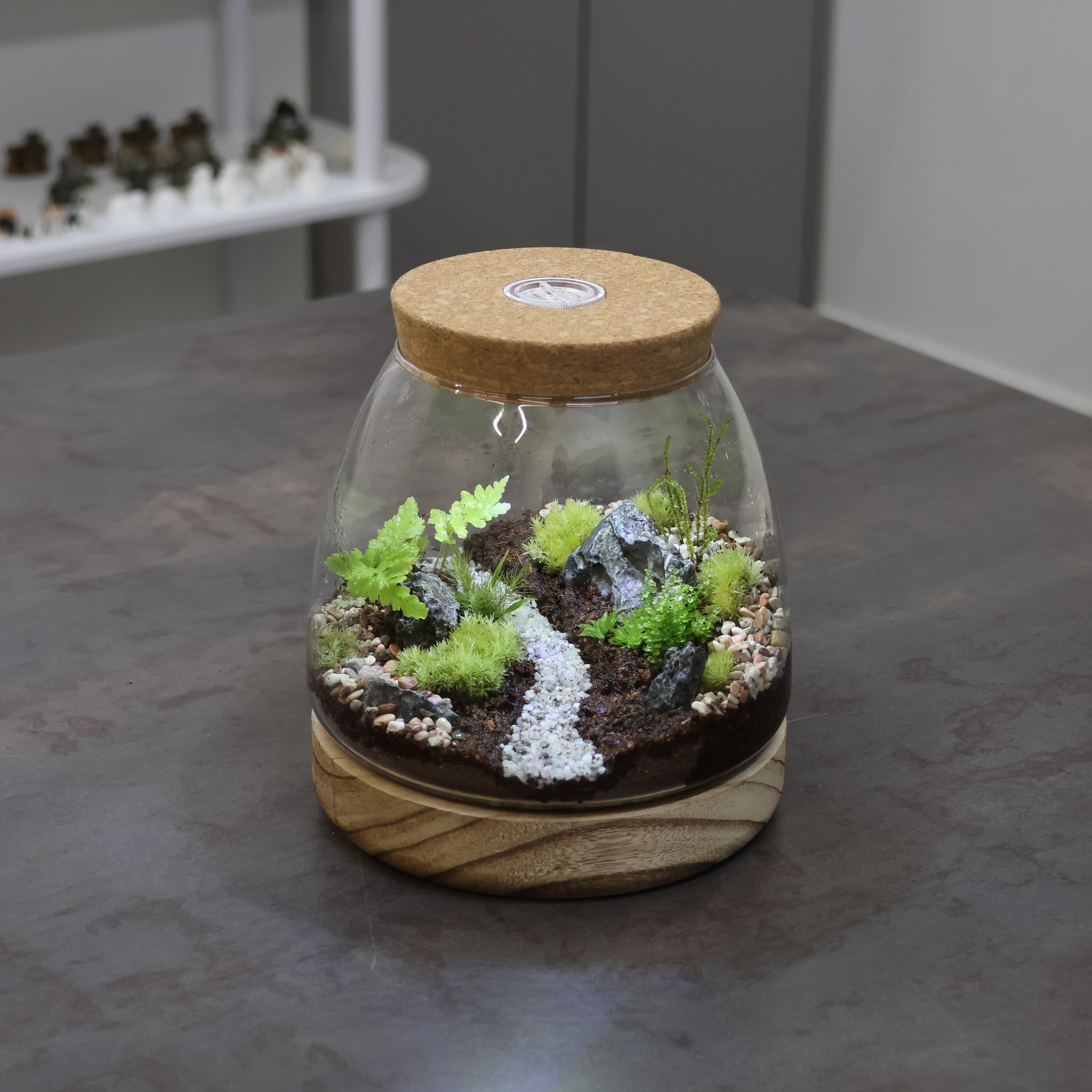 [도매]HG02-B / 36개 / 7,500원