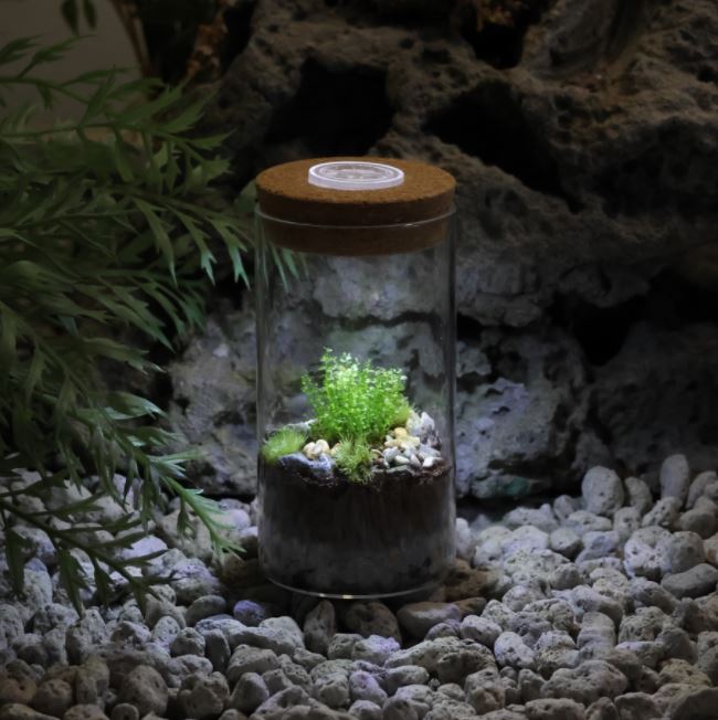 [도매]HG05-B / 160개 / 3,800원