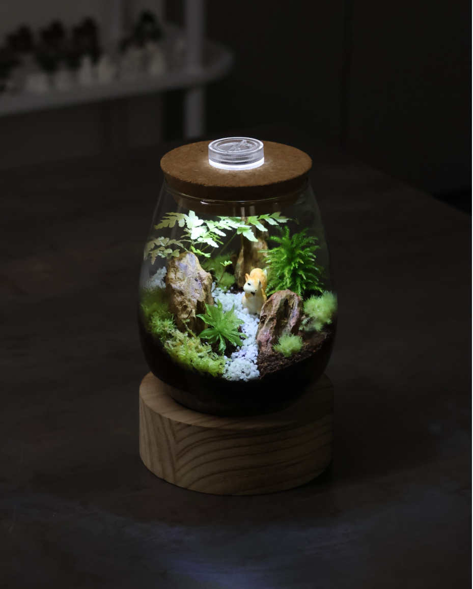 [Hi, Moss Gallery]_테라리움 '사철' - Type A