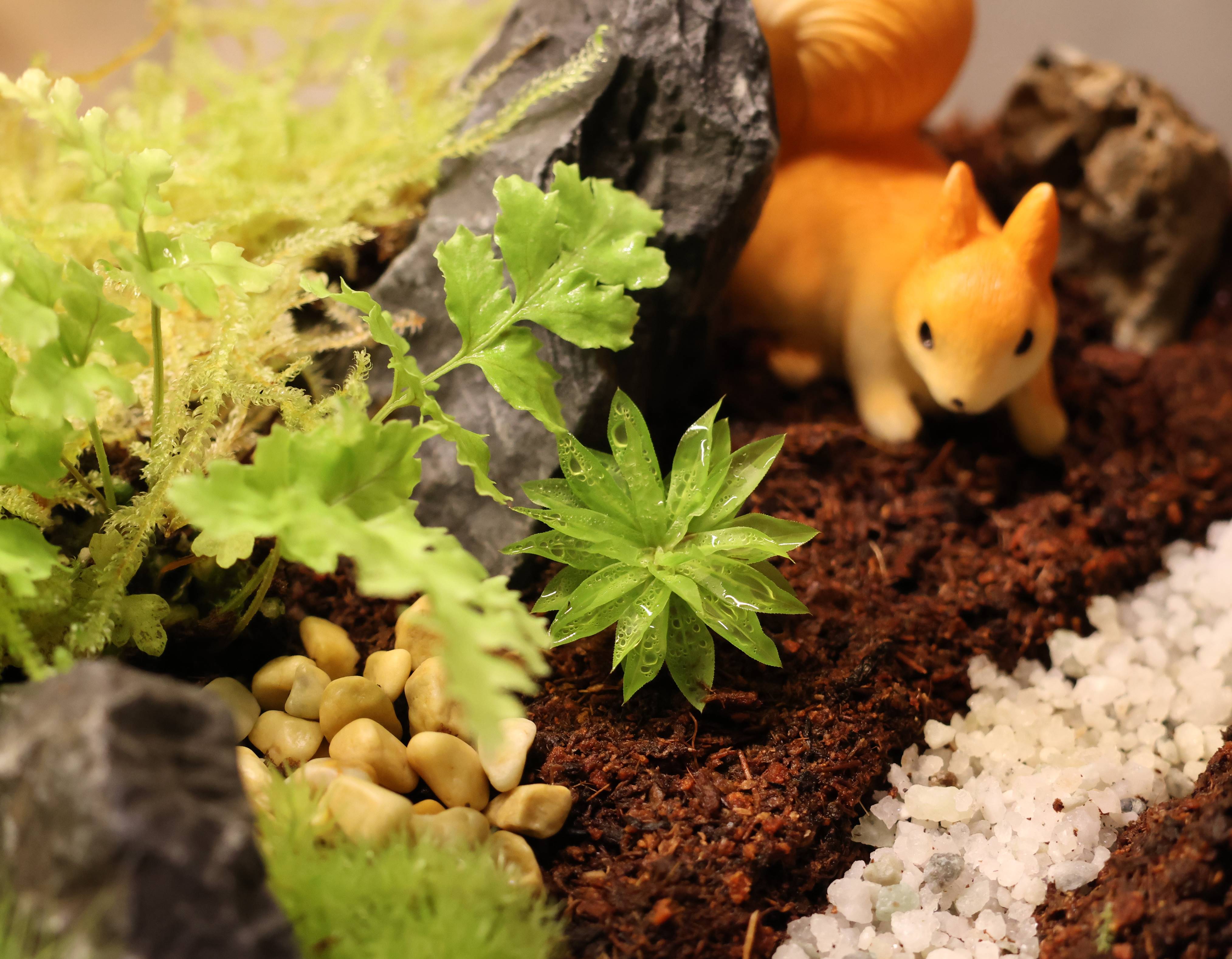 [Hi, Moss Gallery]_260203